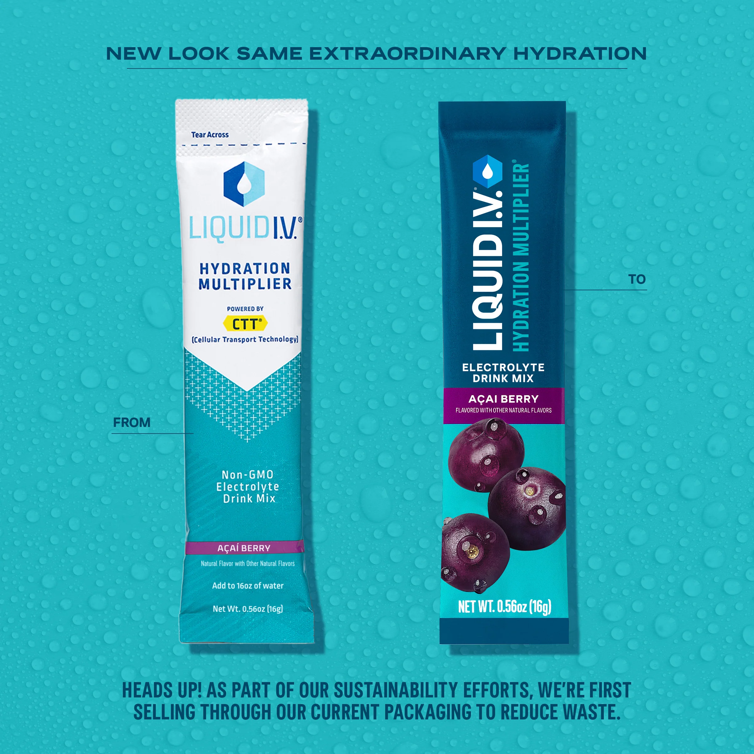 Açai Berry Hydration Multiplier - Image 4