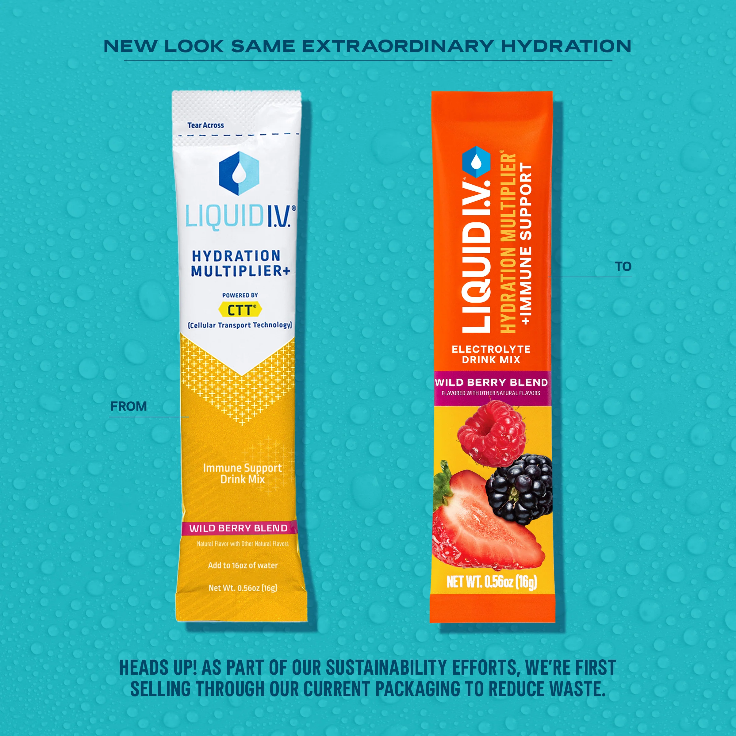 Wild Berry Hydration Multiplier®  + Immune Support - Image 4
