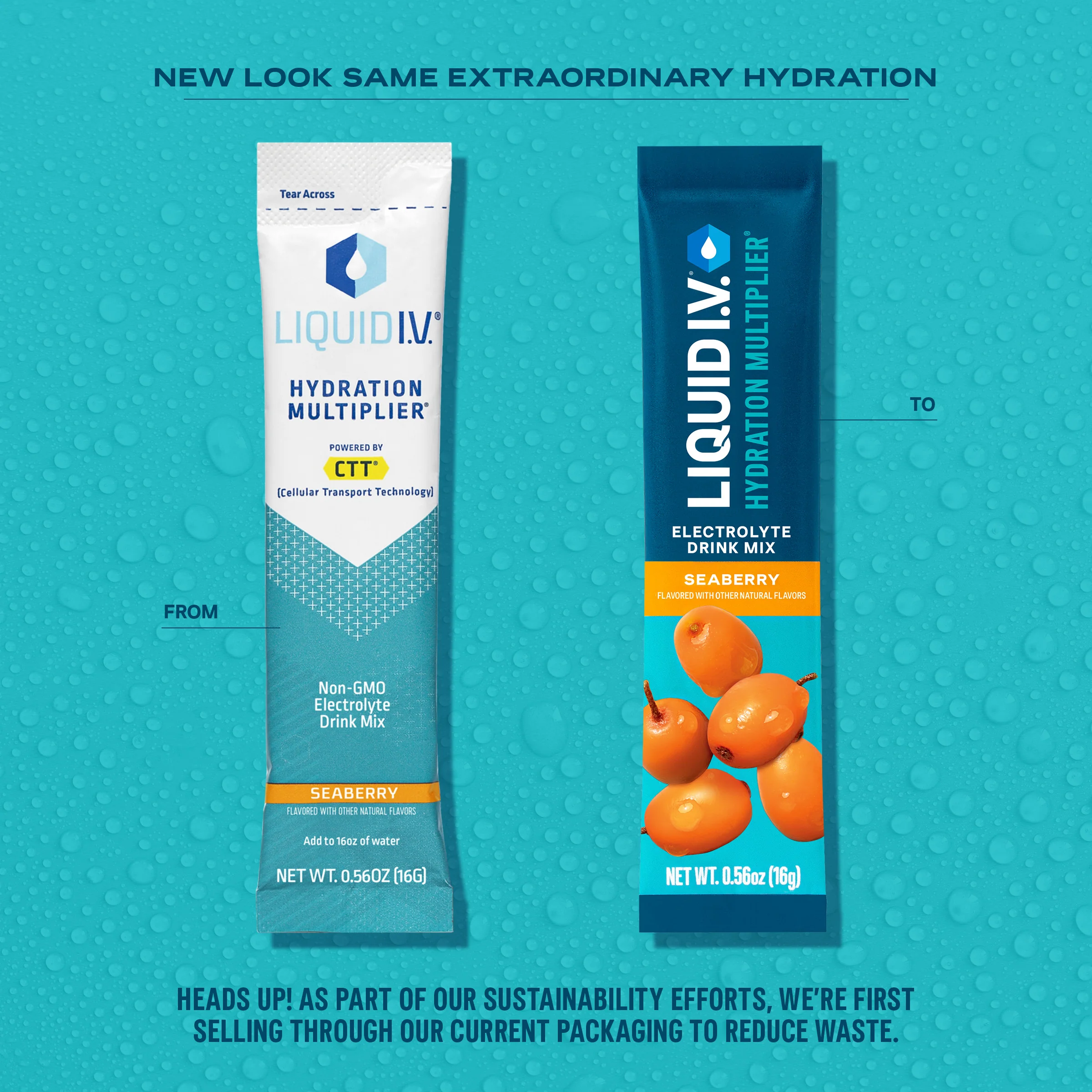 Seaberry Hydration Multiplier - Image 4